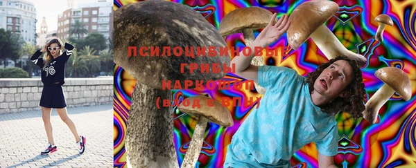 а пвп мука Армянск