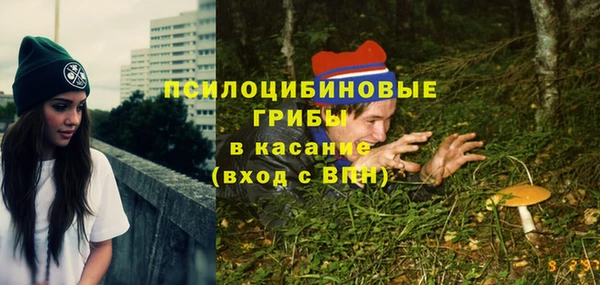 а пвп мука Армянск