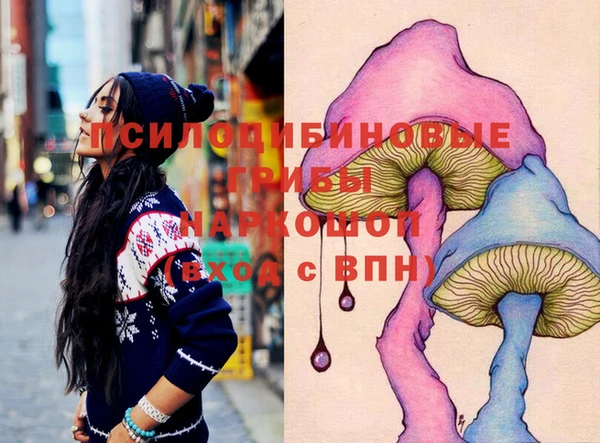 прущие грибы Алексеевка